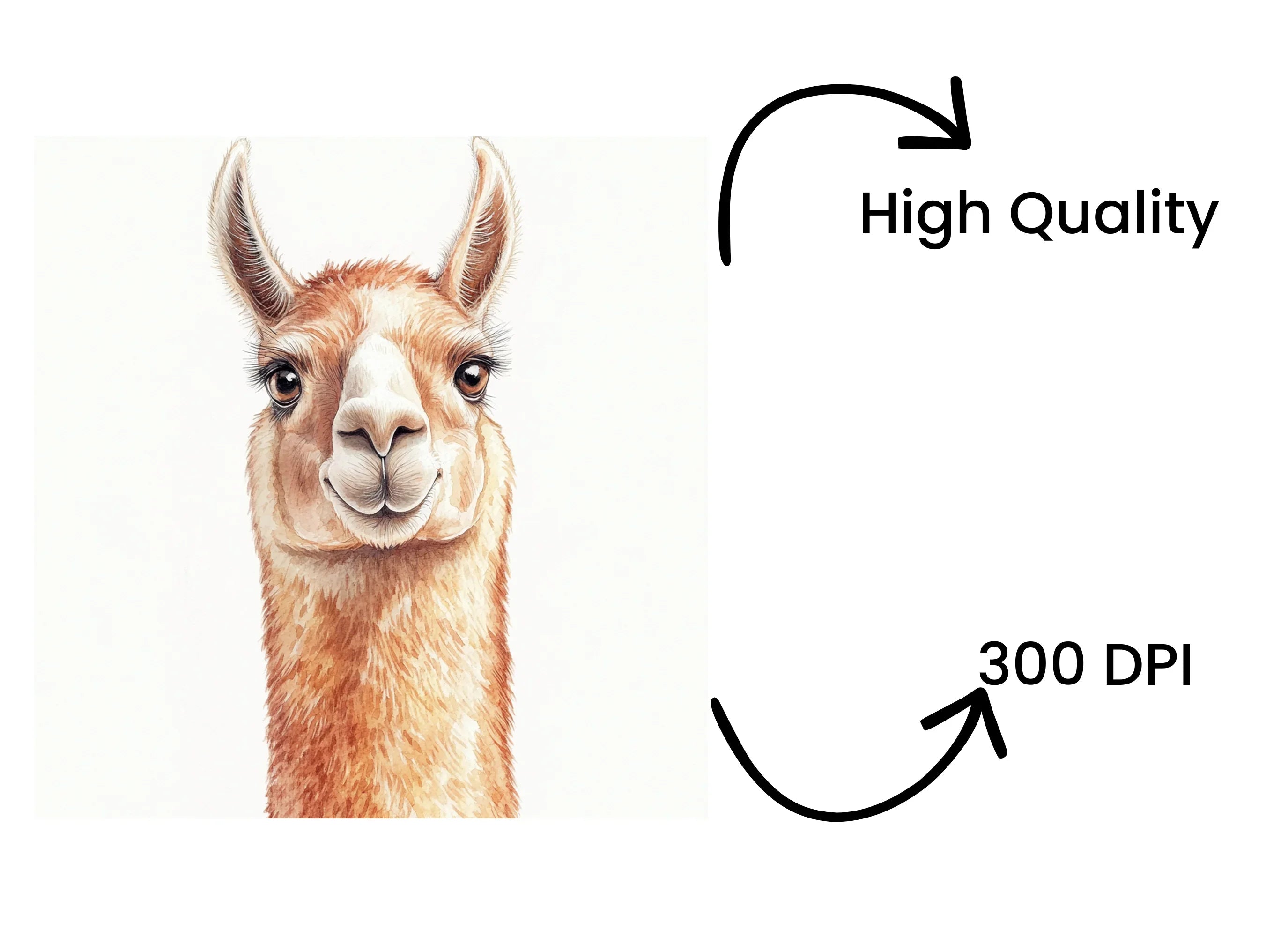 Smiling Llama Head Clipart Bundle