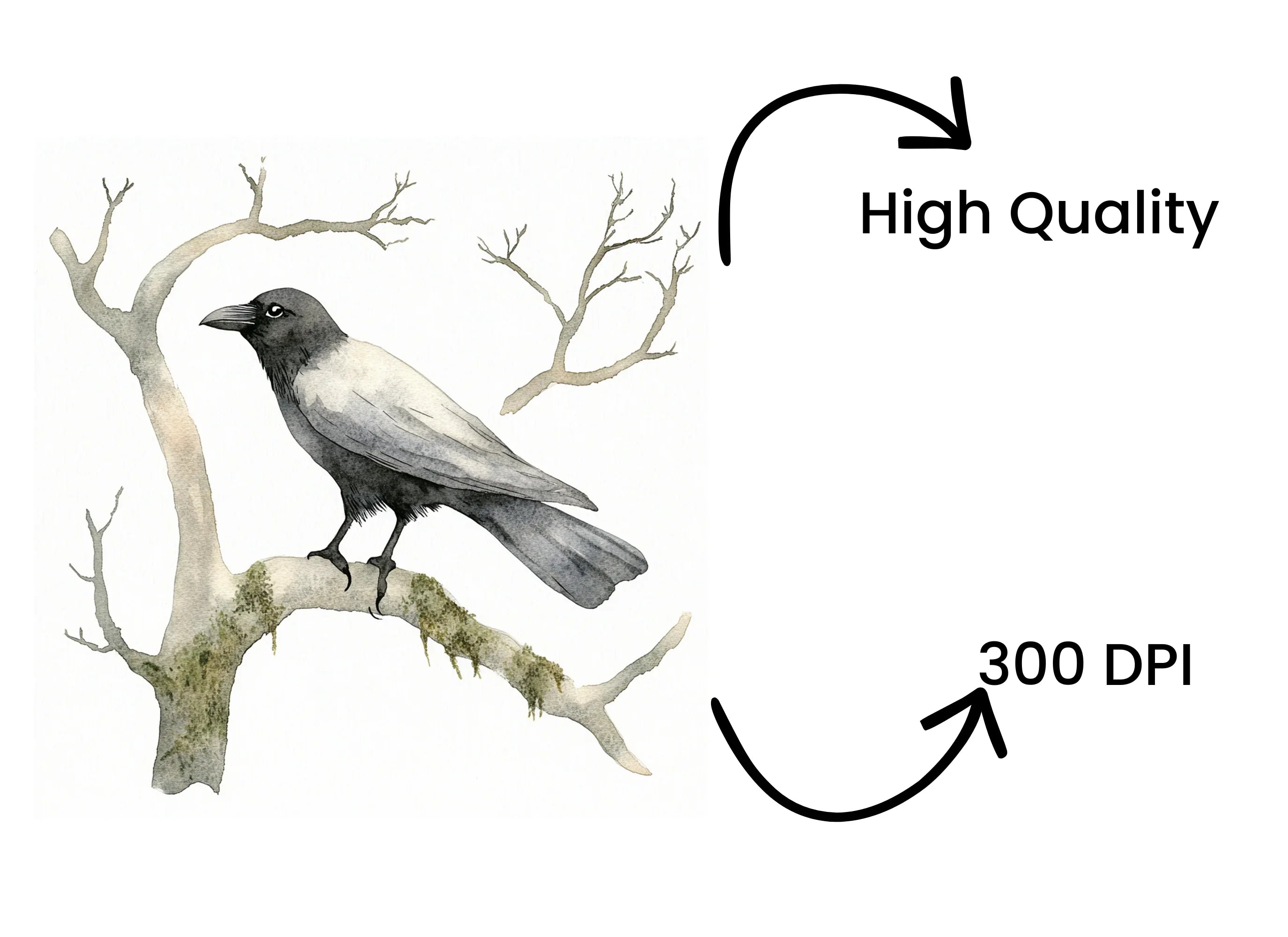 Crows on Bare Branches Clipart Bundle