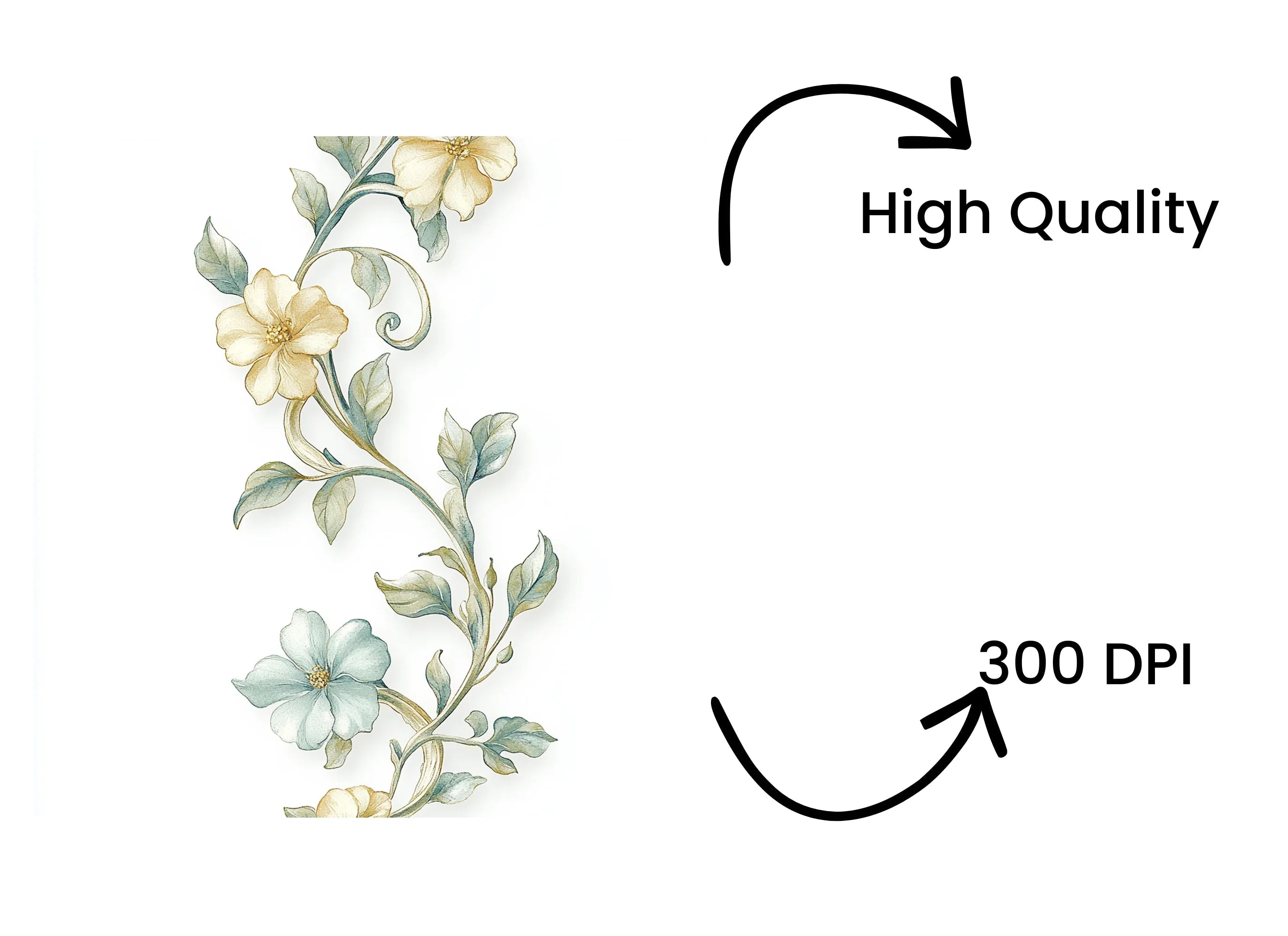 Elegant Floral Vine Clipart Bundle