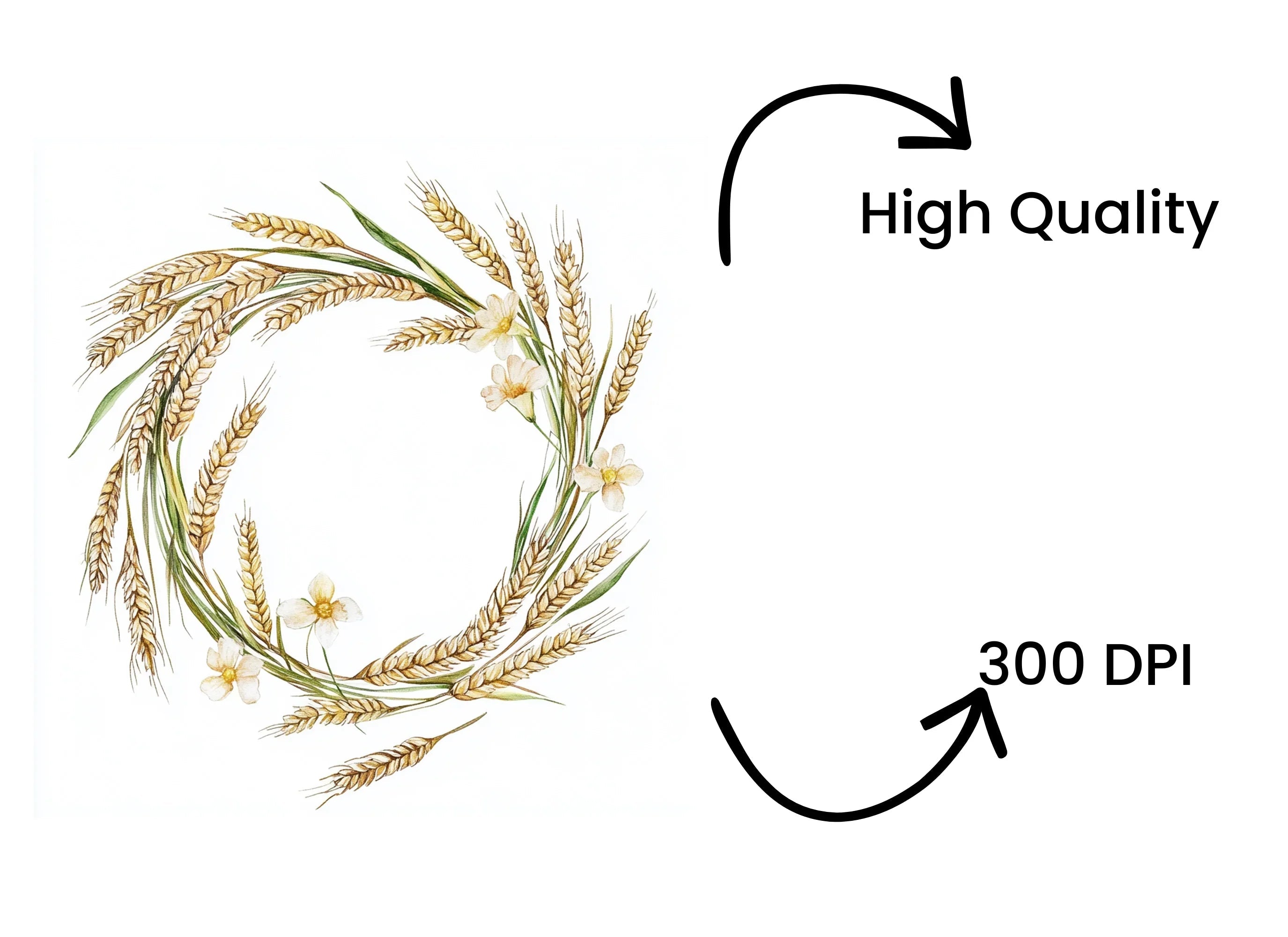 Daisy and Wheat Wreath Clipart Bundle