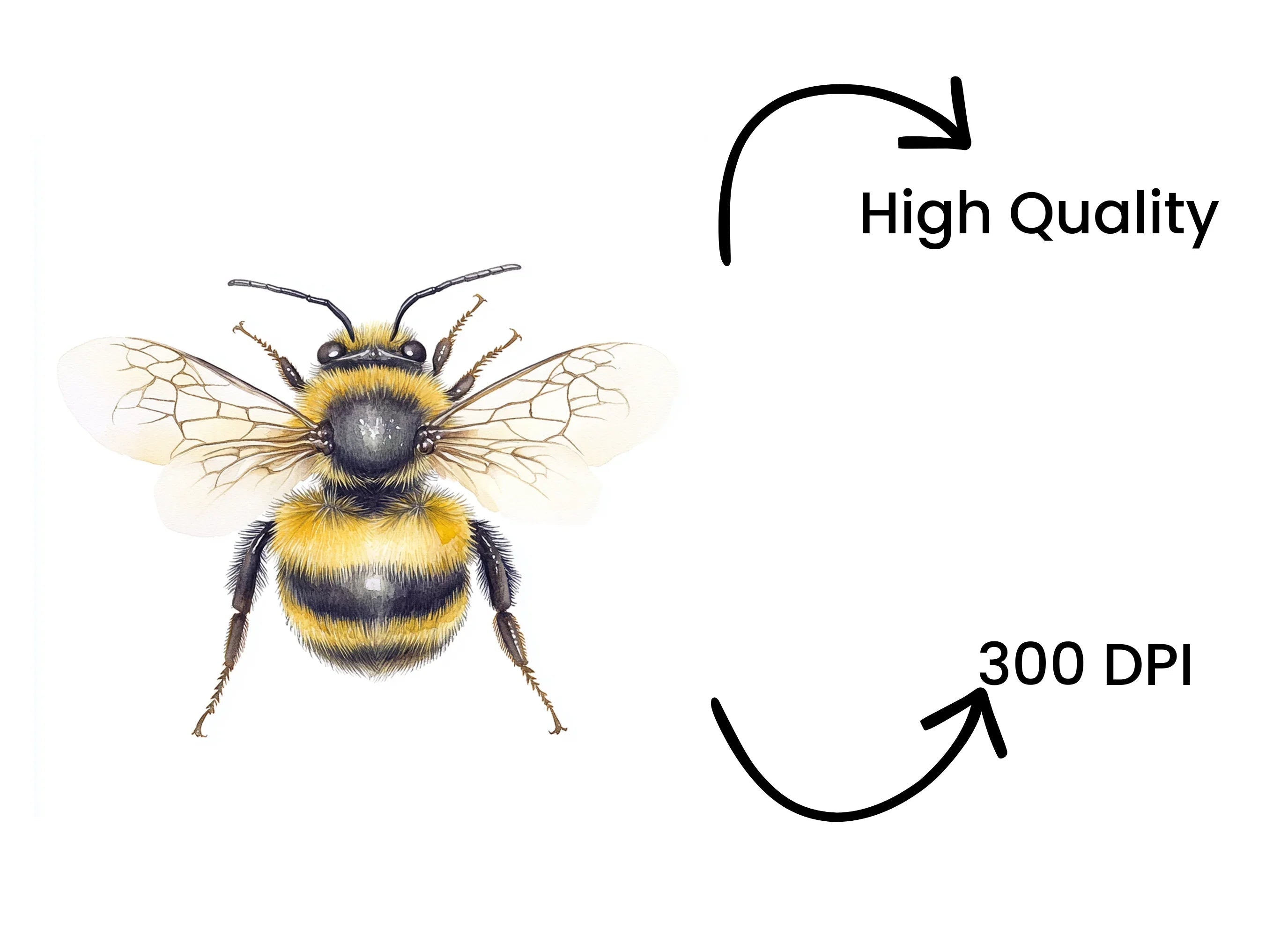 Bumble Bee Clipart Bundle