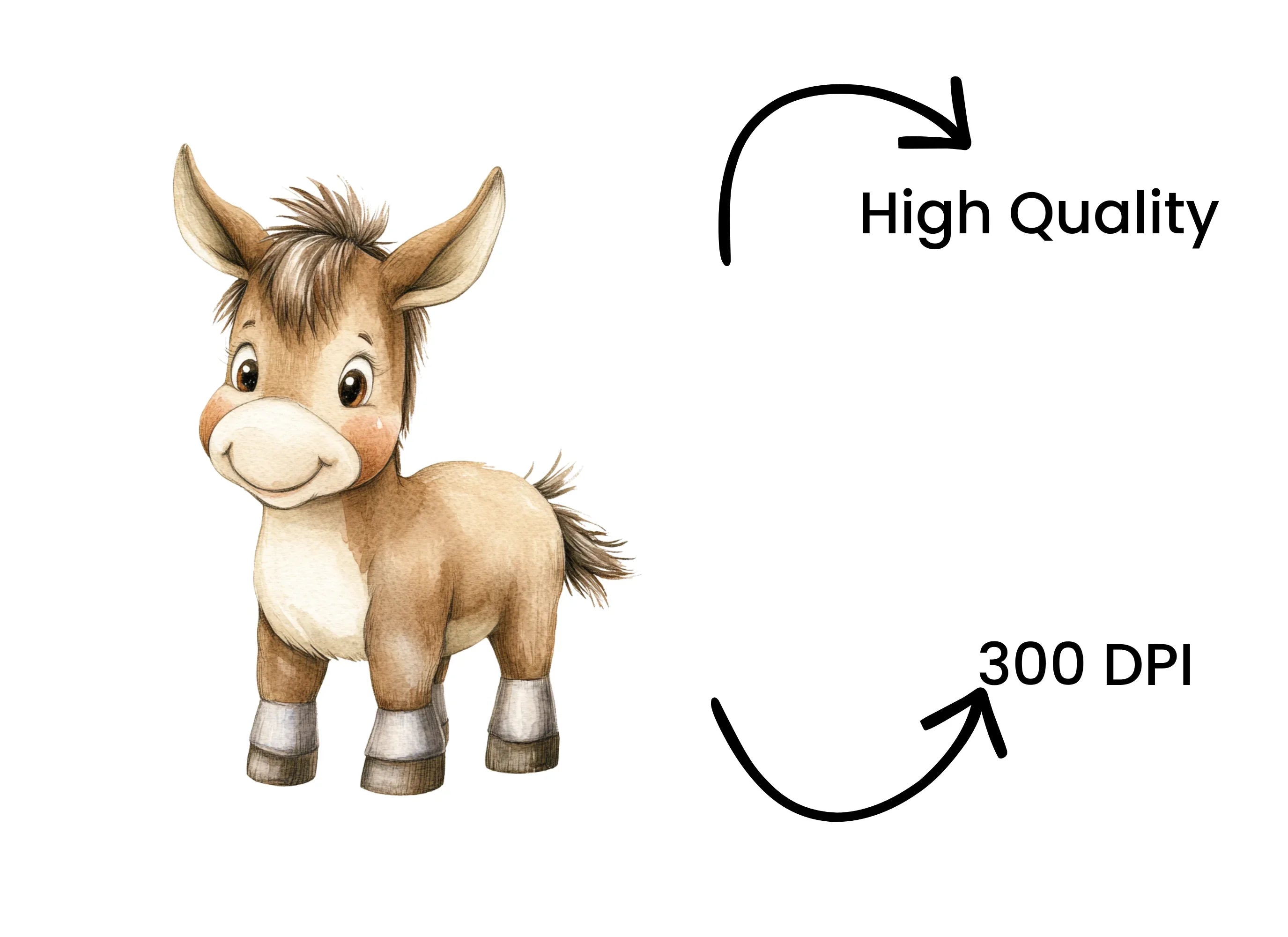 Cute Donkey Clipart Bundle