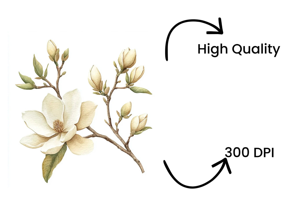 Magnolia Flower Clipart Bundle