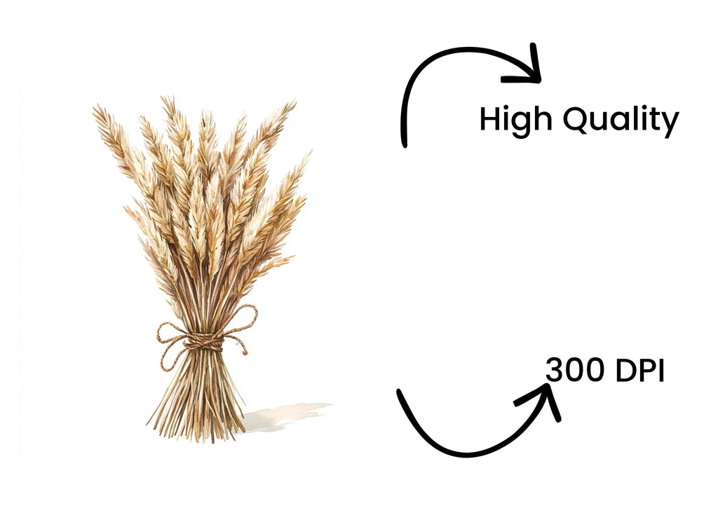 Pampas Grass Bouquets Clipart Bundle
