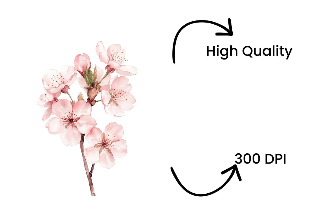 Delicate Cherry Blossom Clipart Bundle