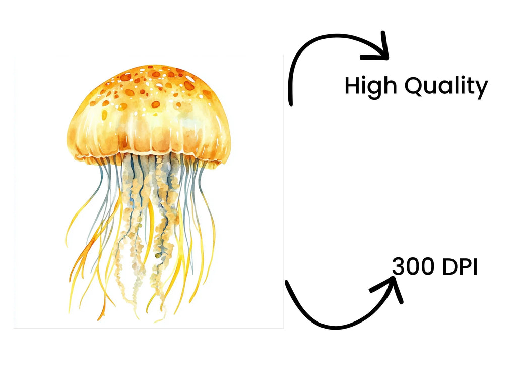 Jellyfish Clipart Bundle