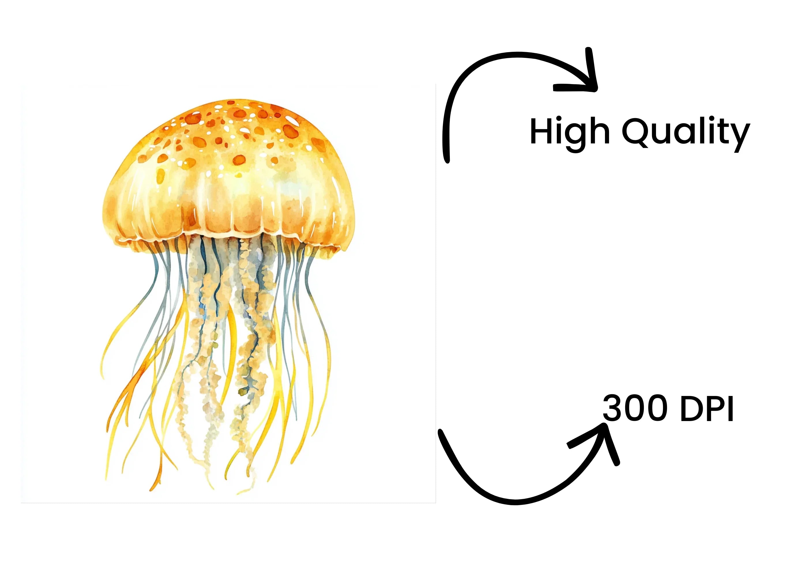 Jellyfish Clipart Bundle