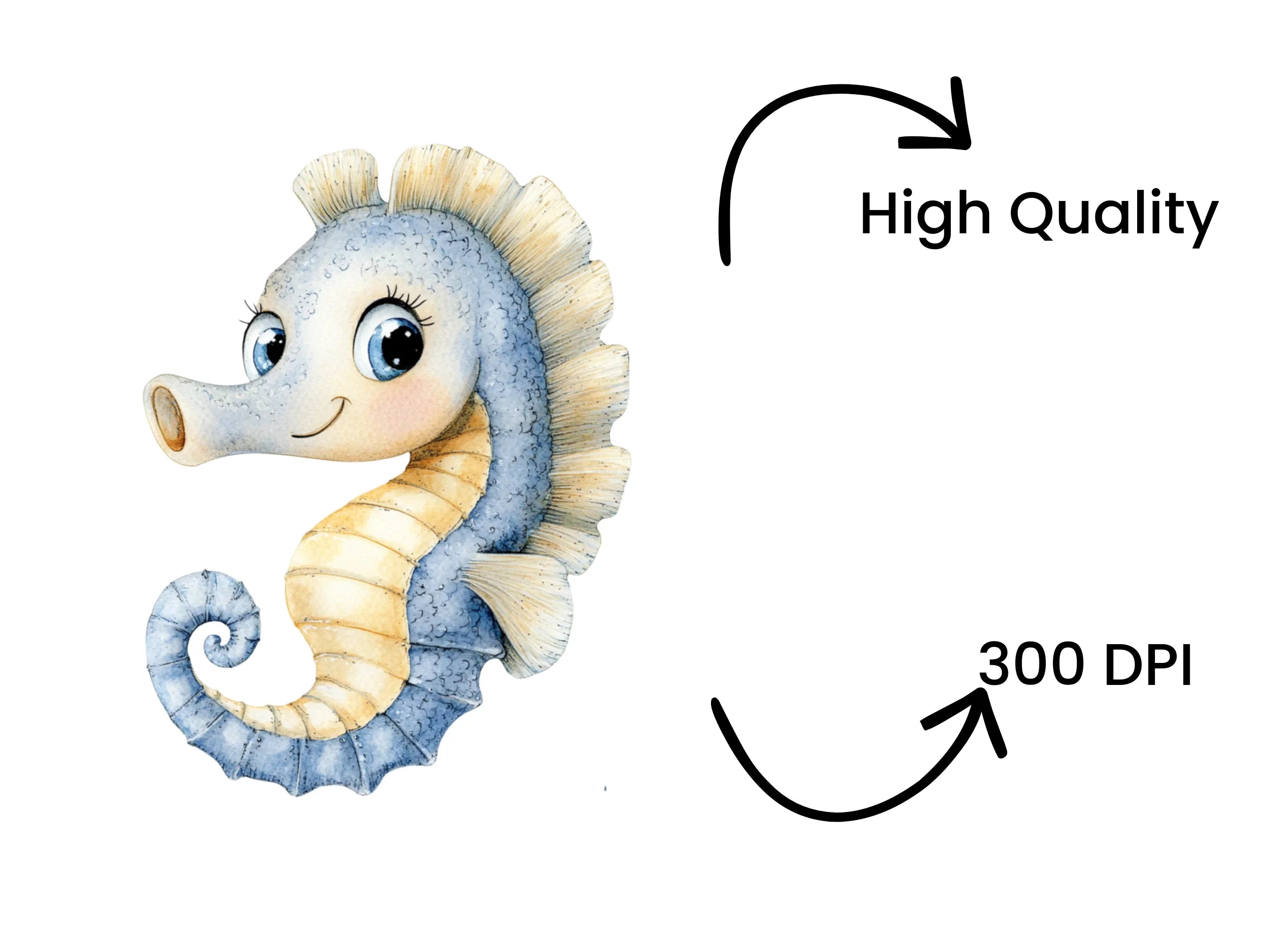Cute Seahorse Clipart Bundle