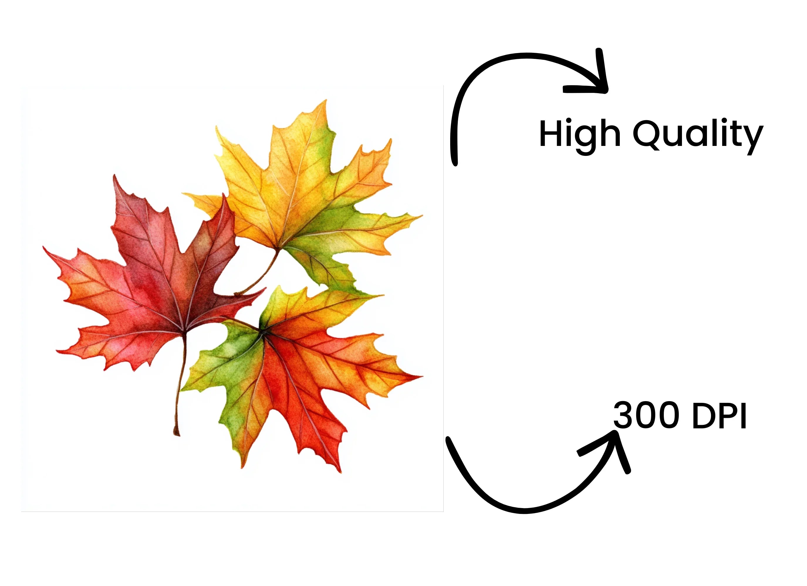 Autumn Leaves Clipart Bundle