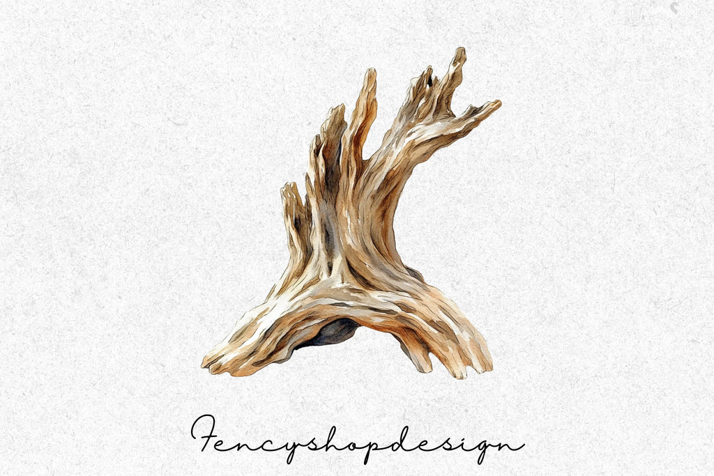 Driftwood Clipart Bundle