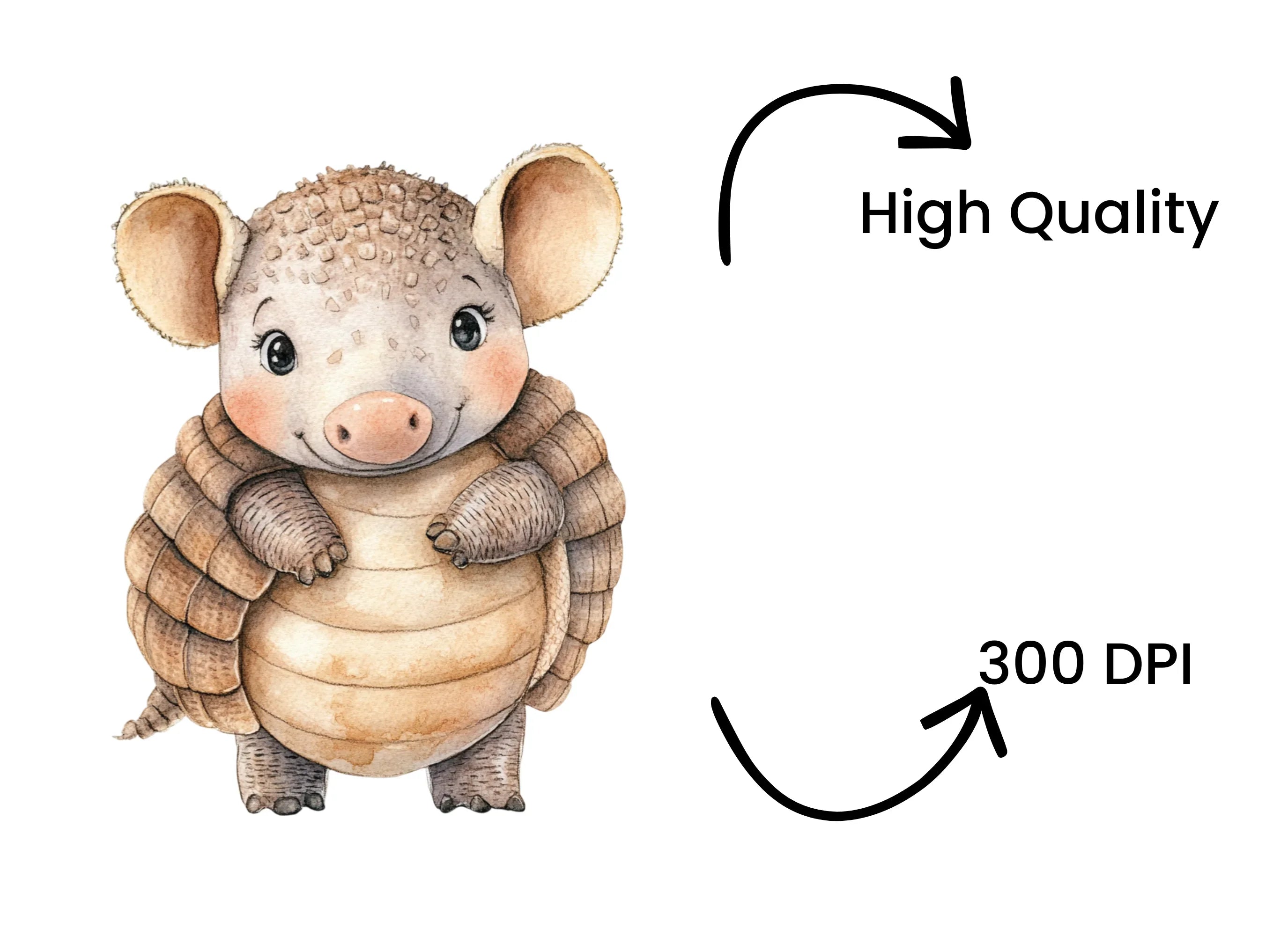Cute Armadillo Clipart Bundle