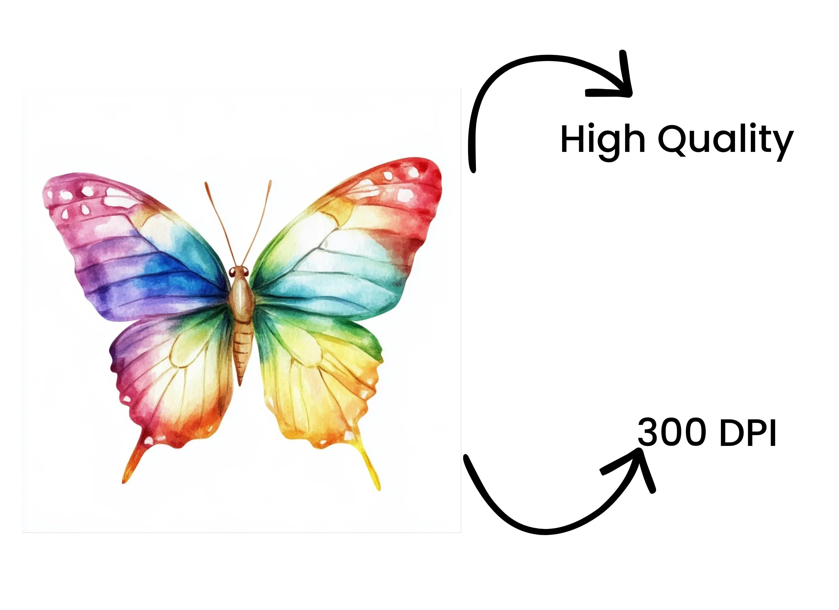 Vibrant Butterfly Clipart Bundle