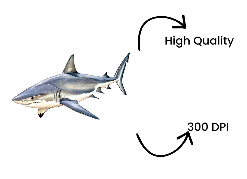 Great White Shark Clipart Bundle