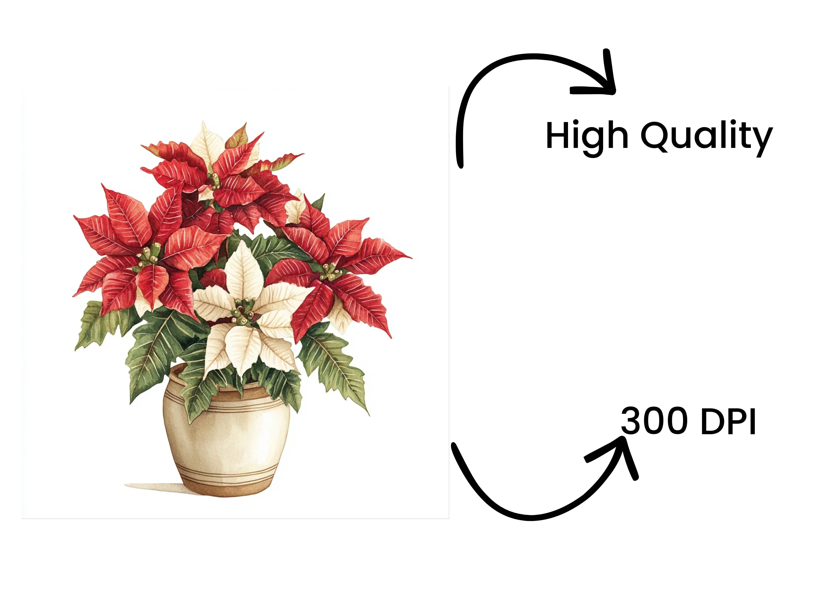Potted Poinsettia Clipart Bundle