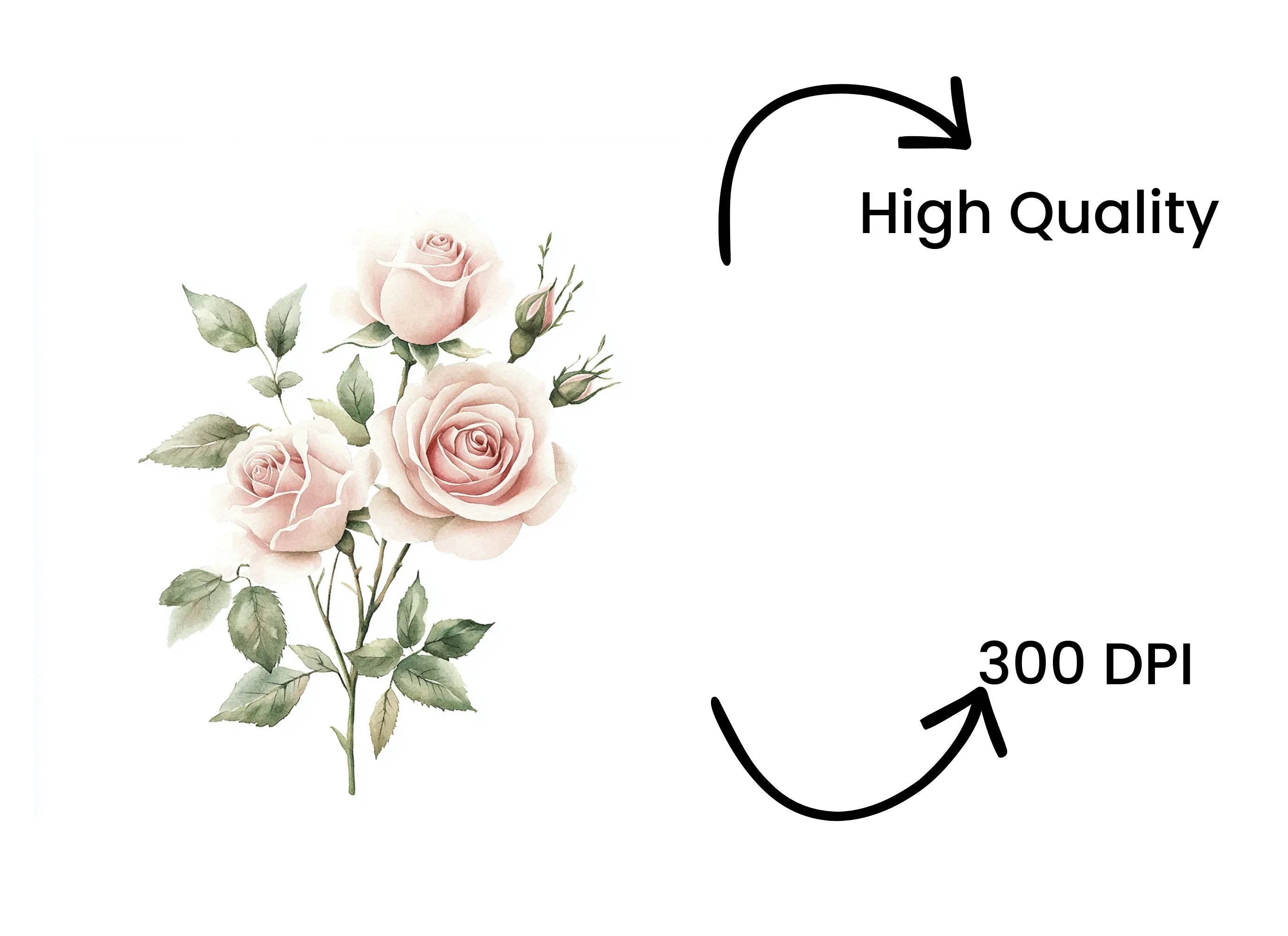 Blush Pink Rose Bouquet Clipart Bundle