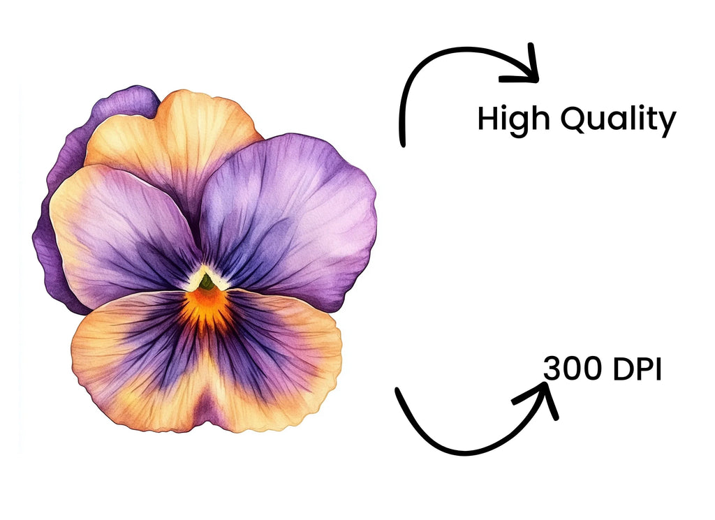 Vibrant Pansy Flowers Clipart Bundle