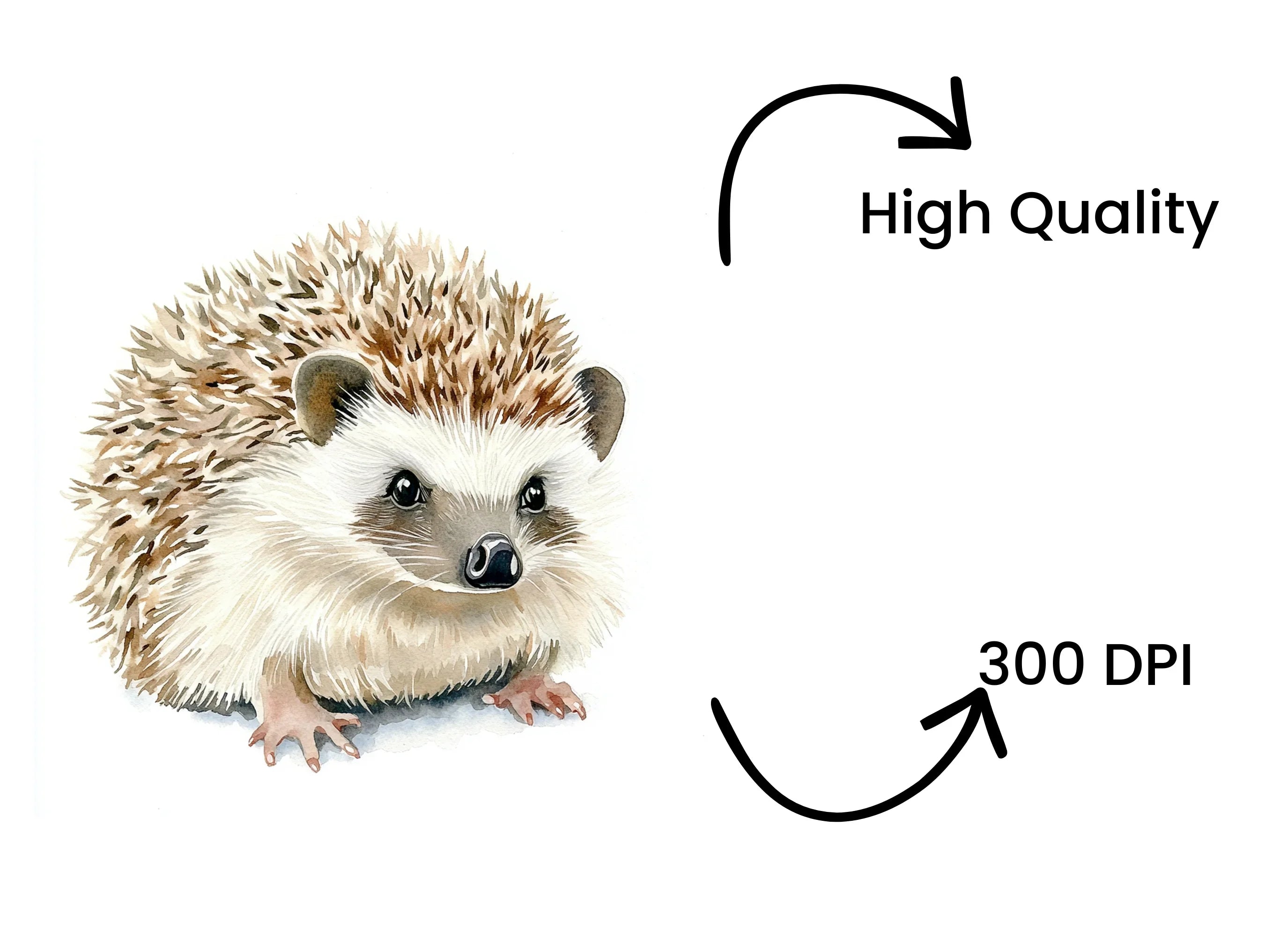 Cute Hedgehog Clipart Bundle