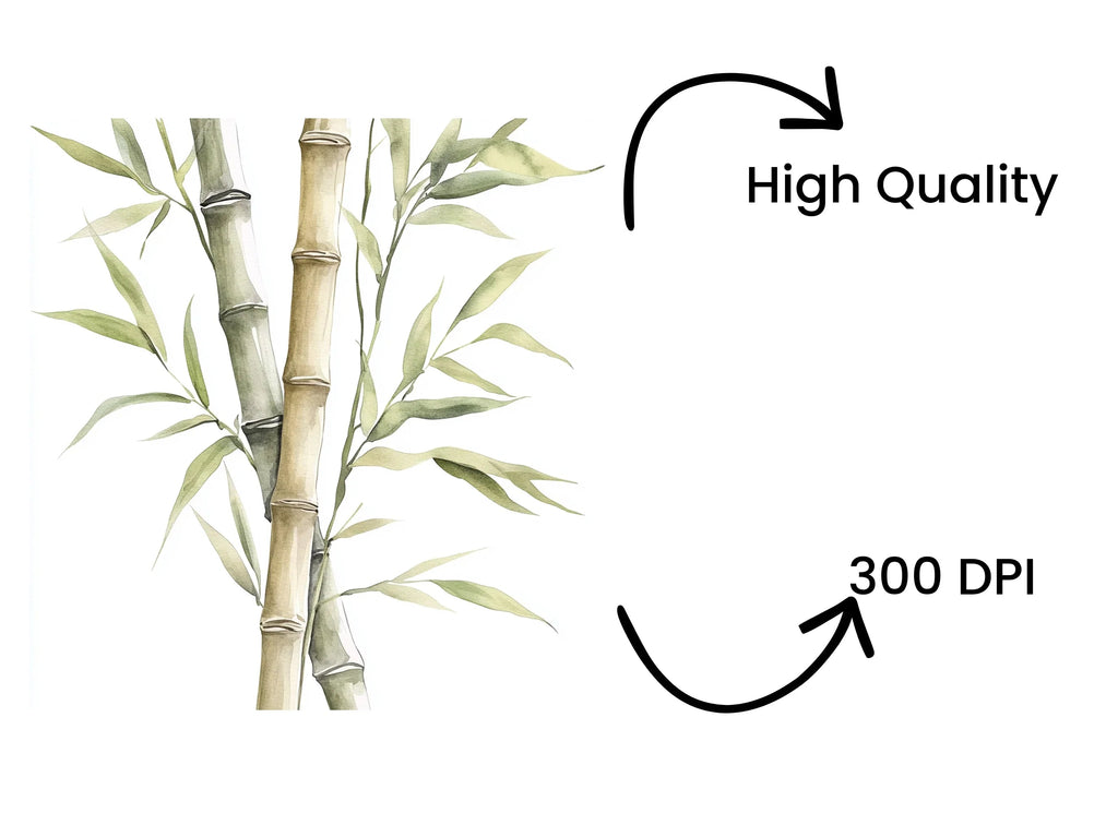 Bamboo Stalks Clipart Bundle