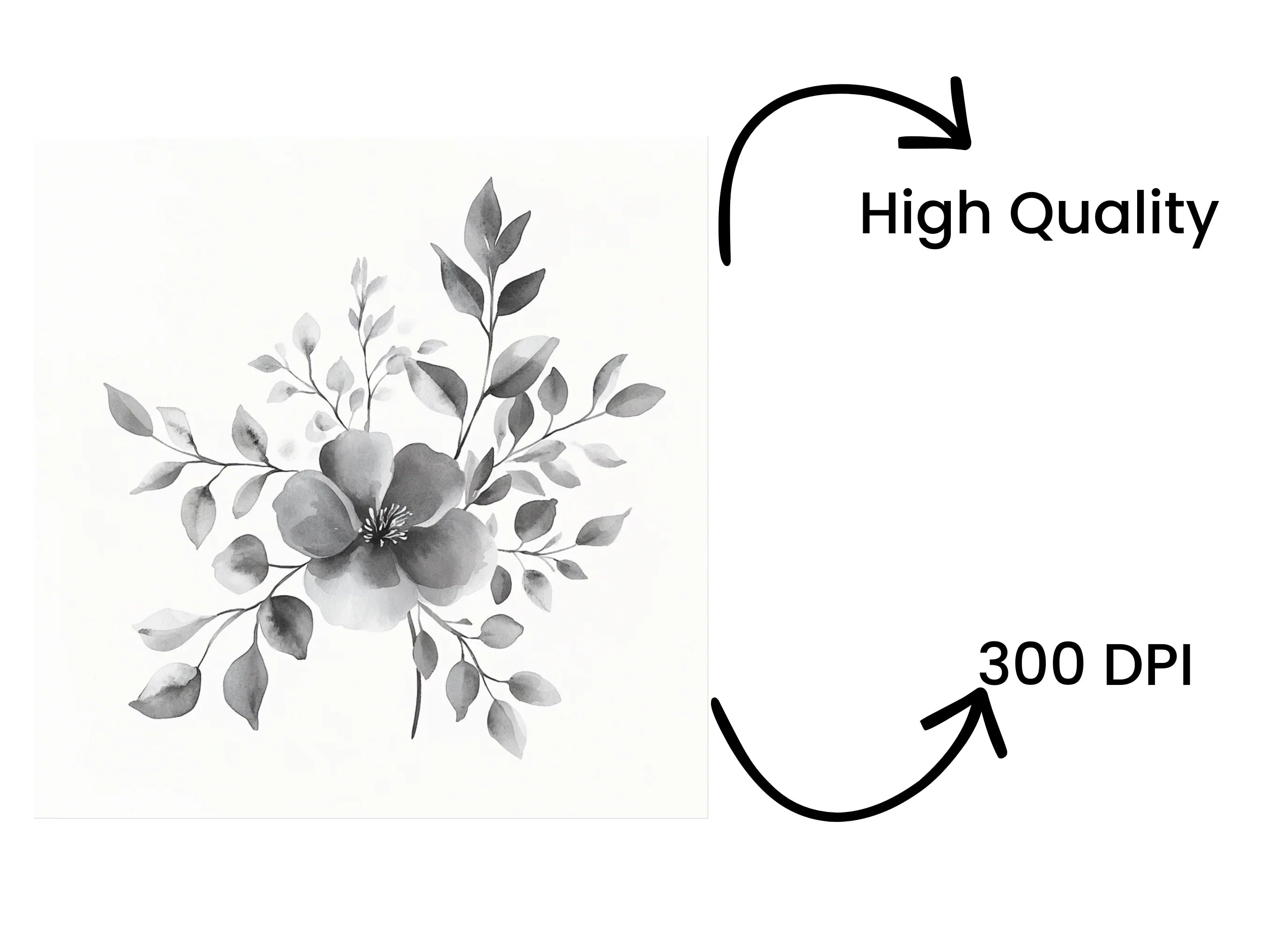 Monochrome Floral Clipart Bundle
