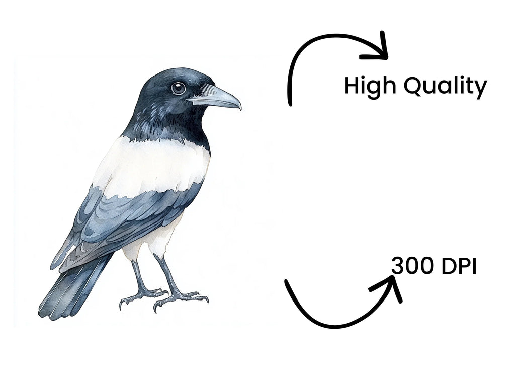 Cute Black and White Birds Clipart Bundle