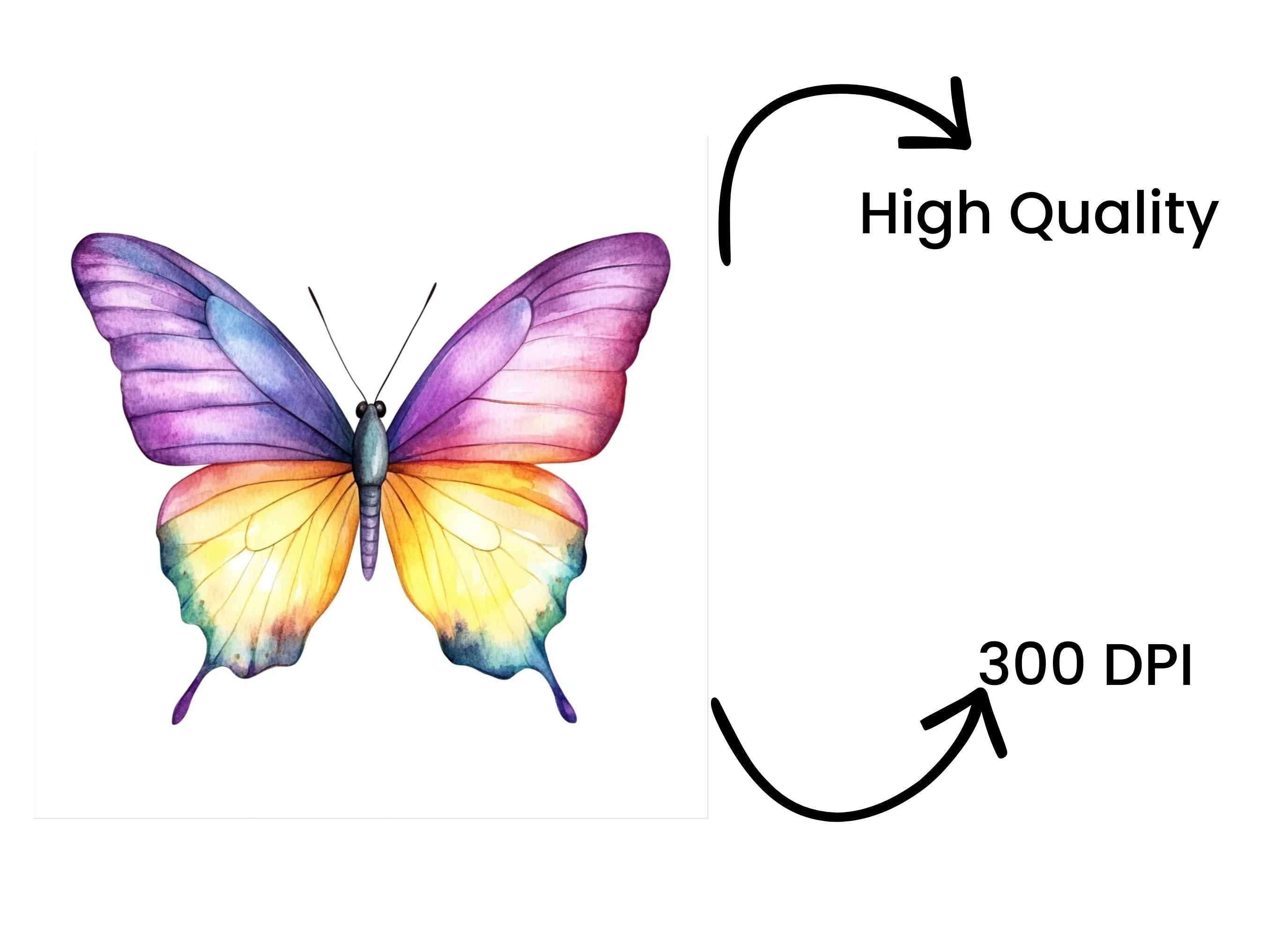 Vibrant Butterfly Clipart Bundle