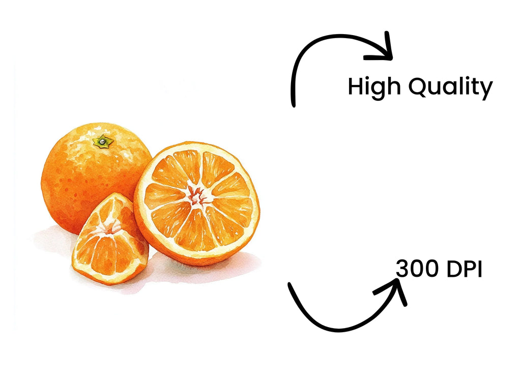 Fresh Orange Clipart Bundle