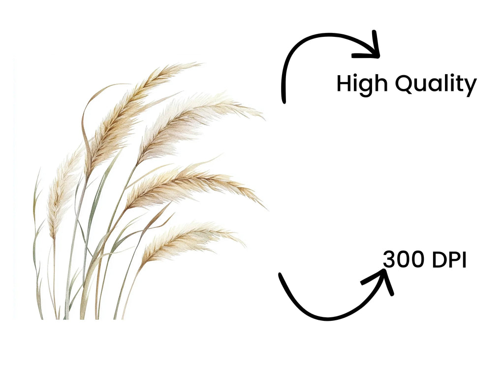 Pampas Grass Illustrations Clipart Bundle