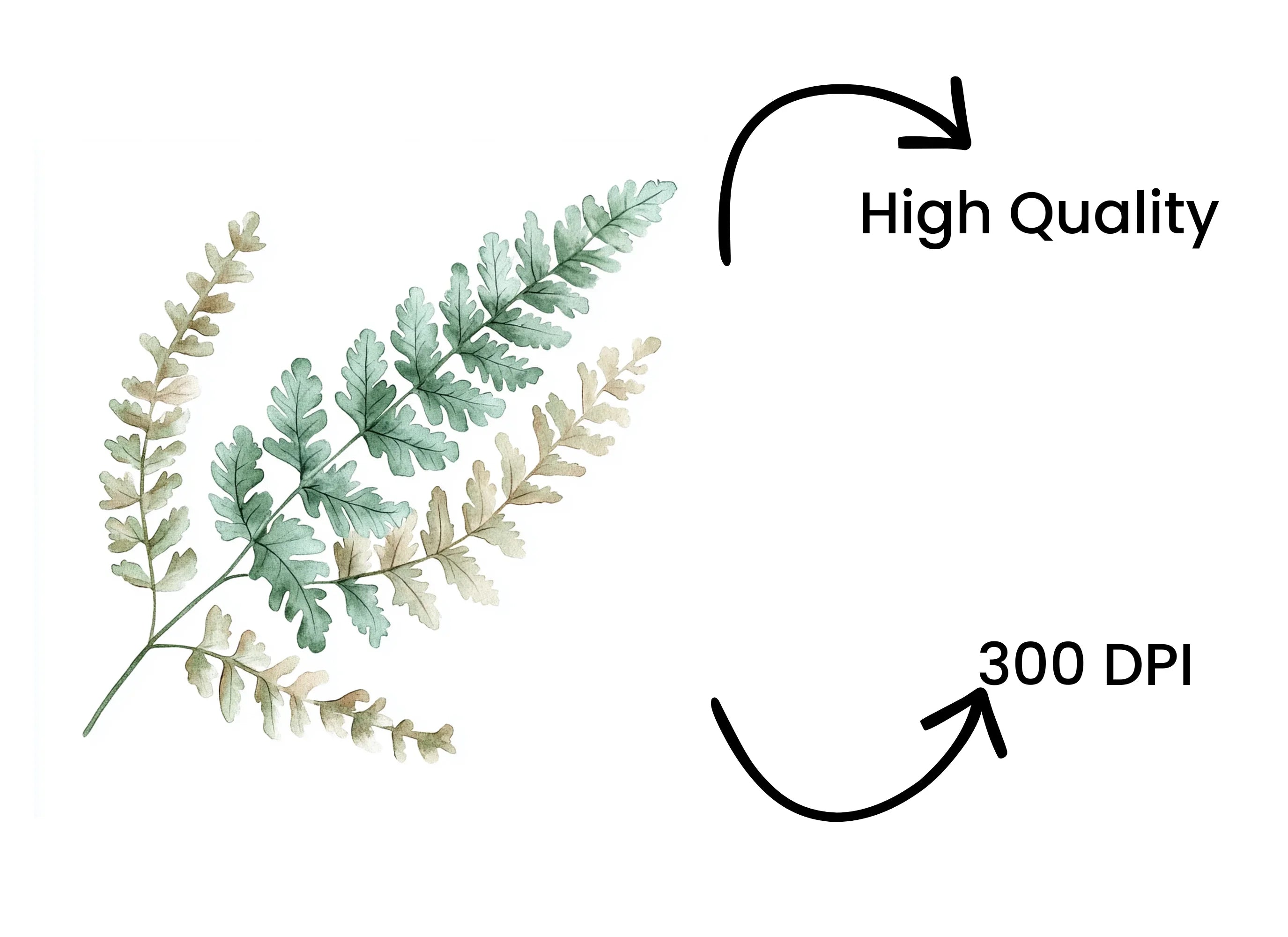 Fern Leaves Clipart Bundle