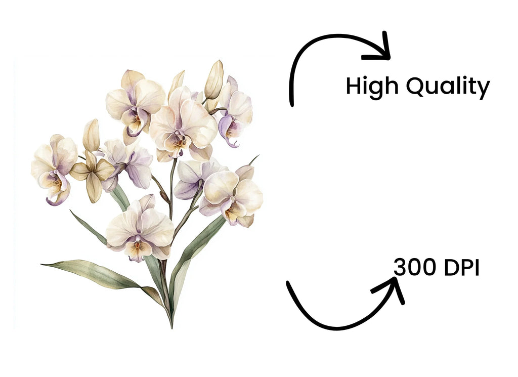 Elegant Orchid Clipart Bundle