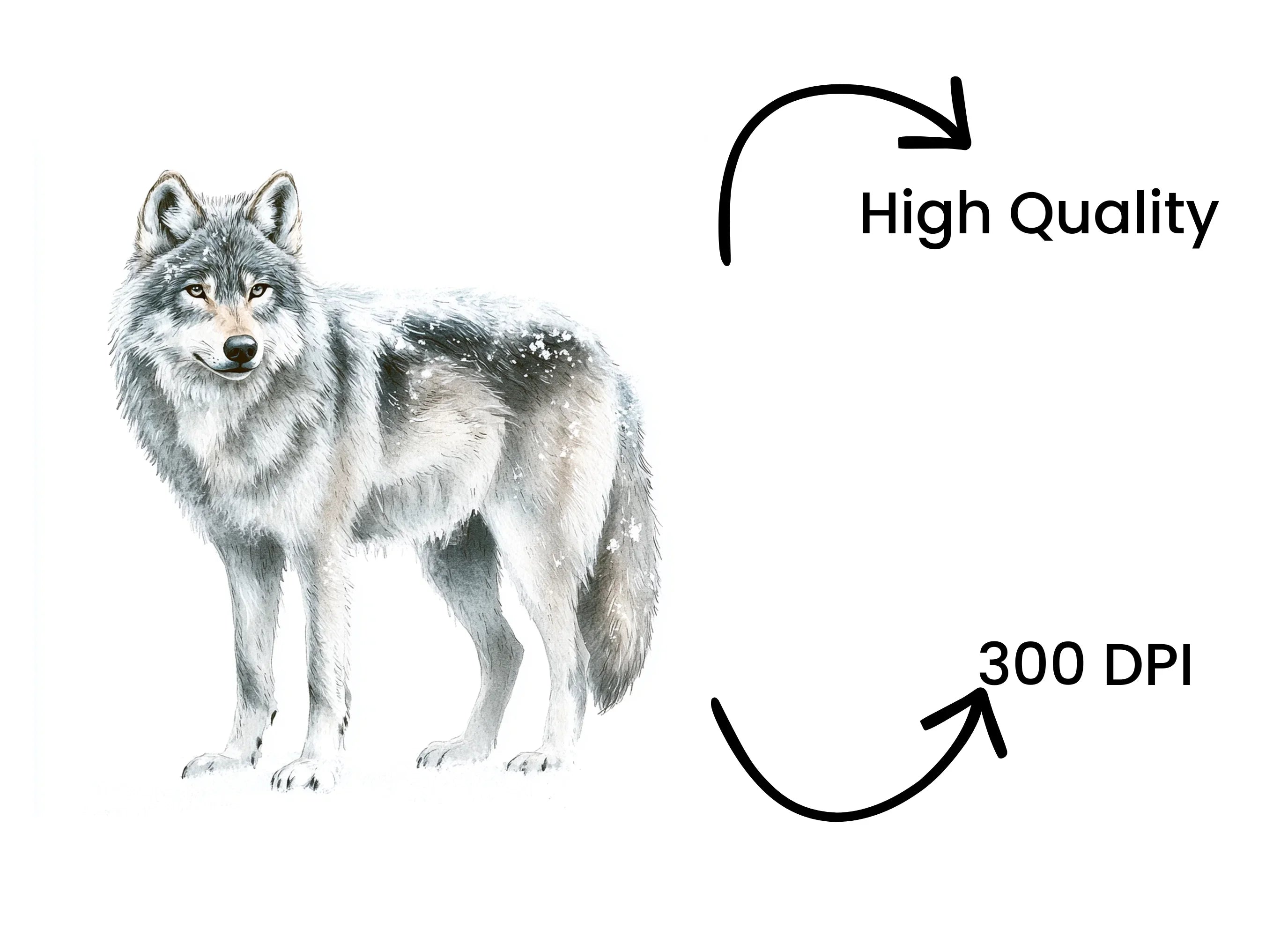 Majestic Gray Wolf Clipart Bundle