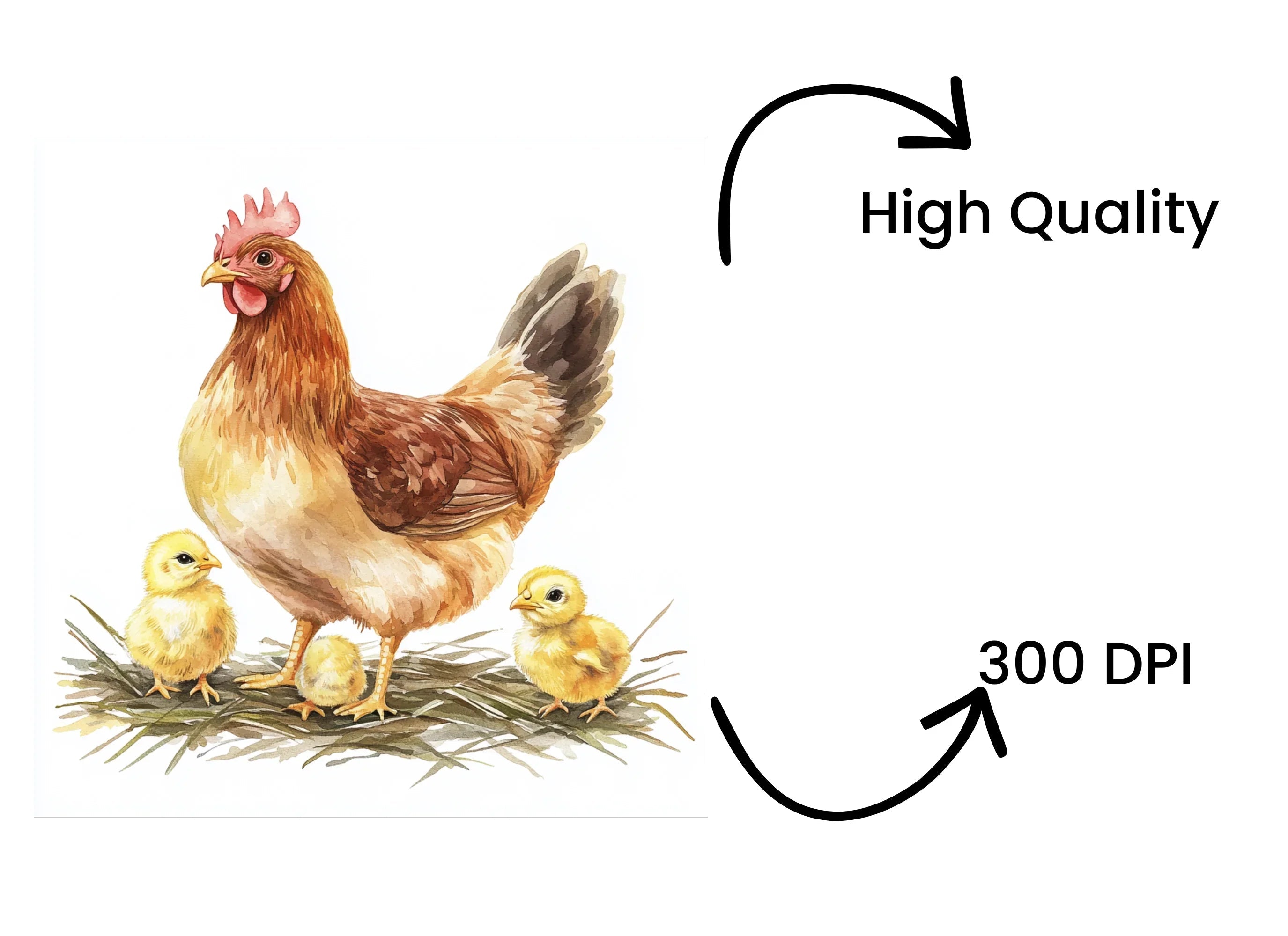 Charming Hen and Chicks Clipart Bundle