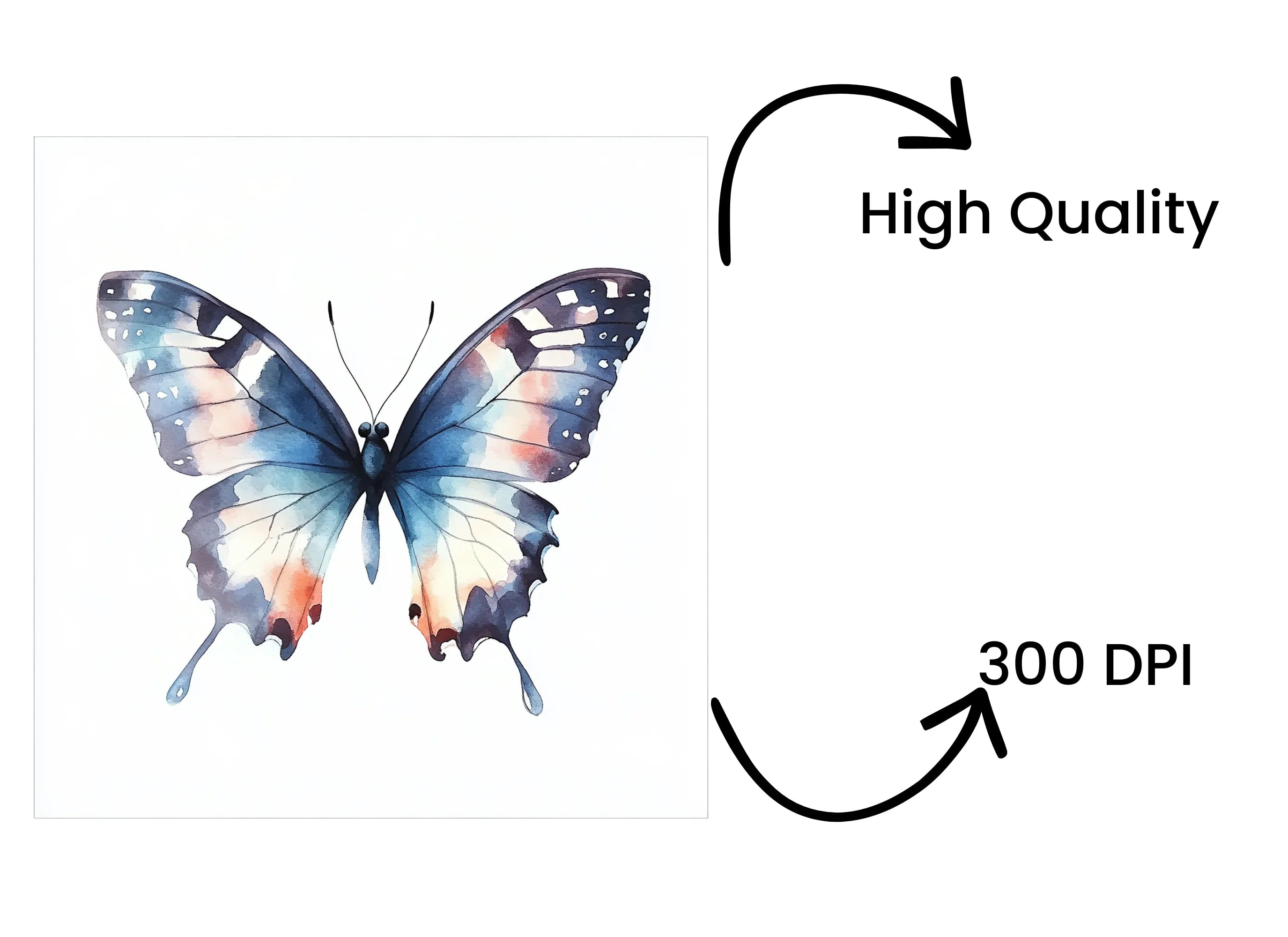 Butterfly Clipart Bundle