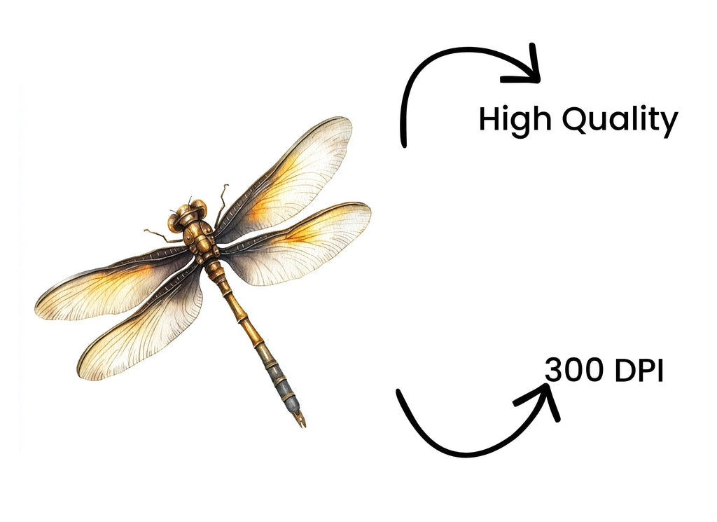 Elegant Dragonfly Clipart Bundle