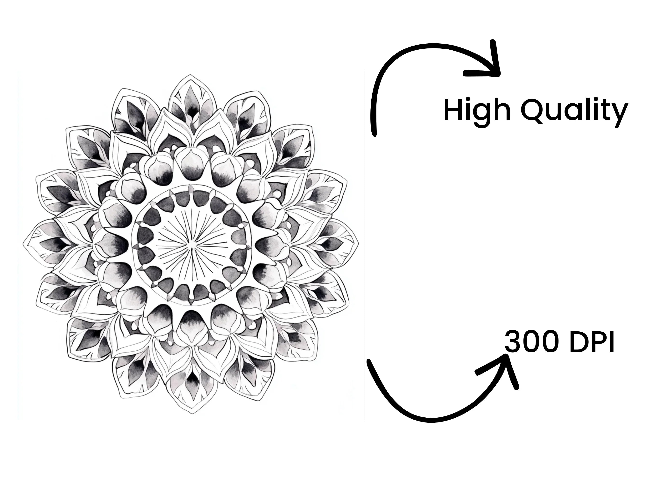 Elegant Mandala Clipart Bundle