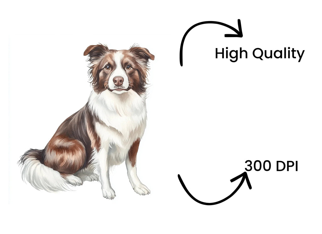 Border Collie Dog Illustration Clipart Bundle