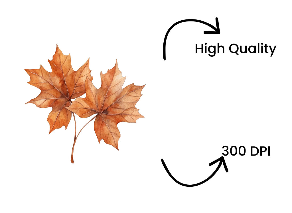 Vibrant Fall Maple Leaves Clipart Bundle