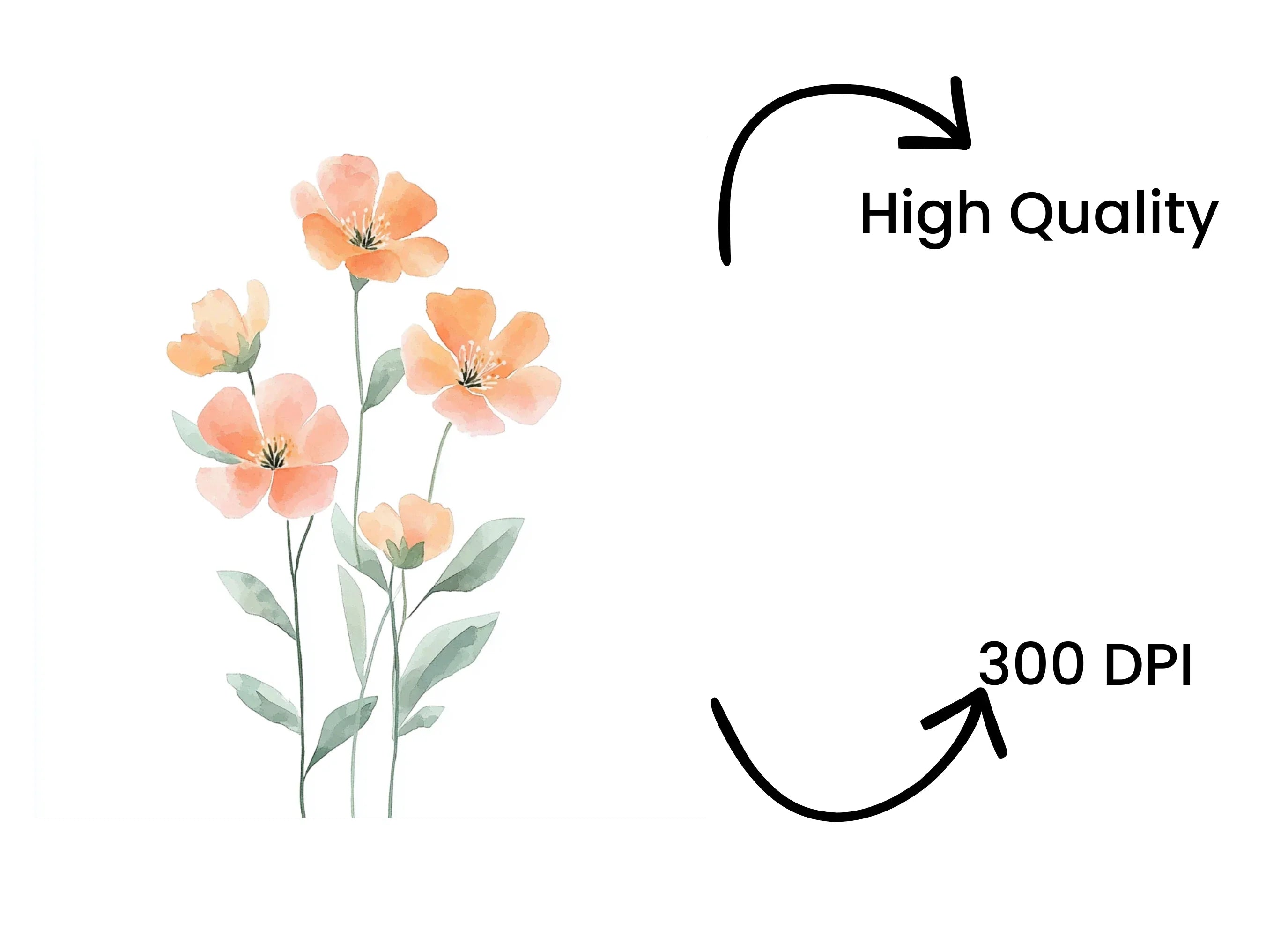 Soft Peach Flower Clipart Bundle