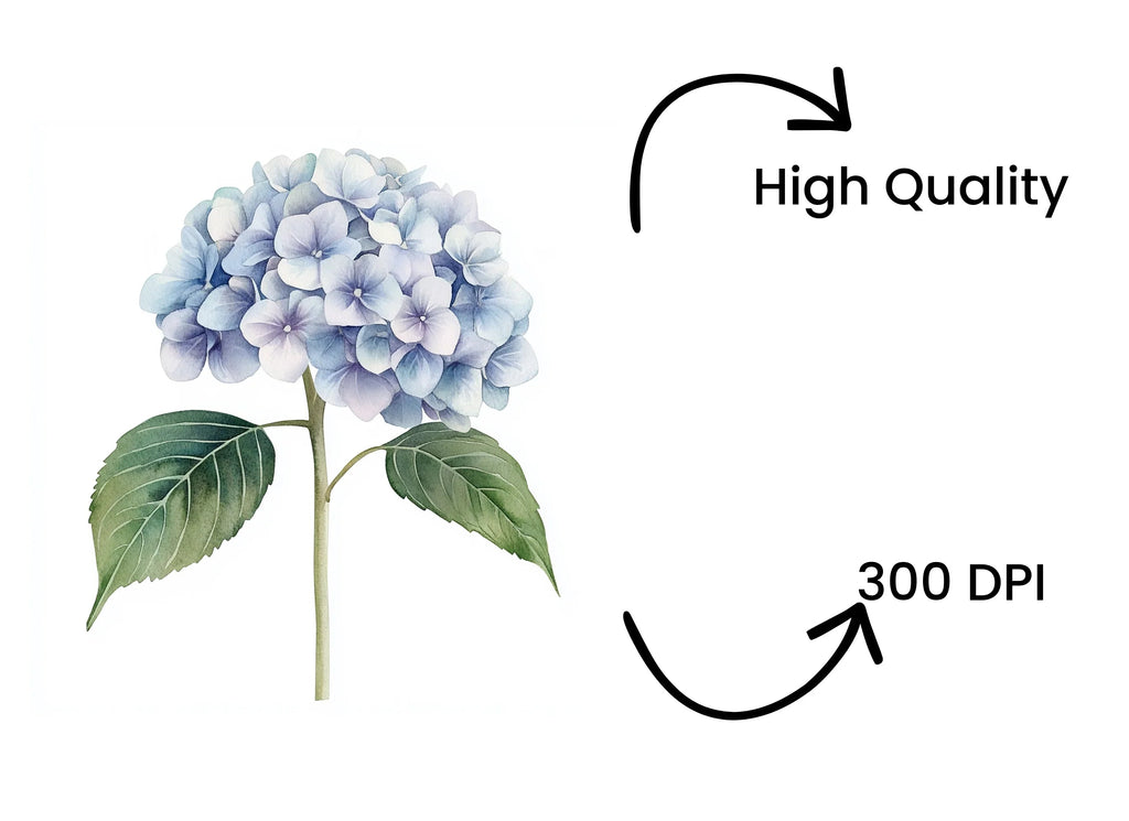 Blue Hydrangea Clipart Bundle