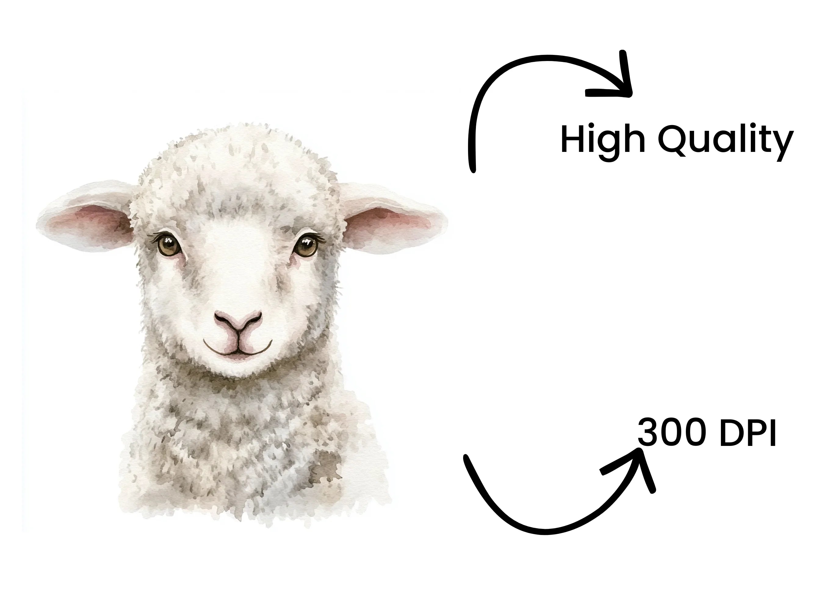 Adorable Lamb Faces Clipart Bundle