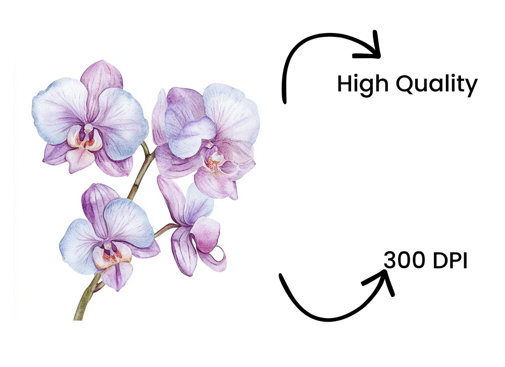 Purple Orchid Clipart Bundle