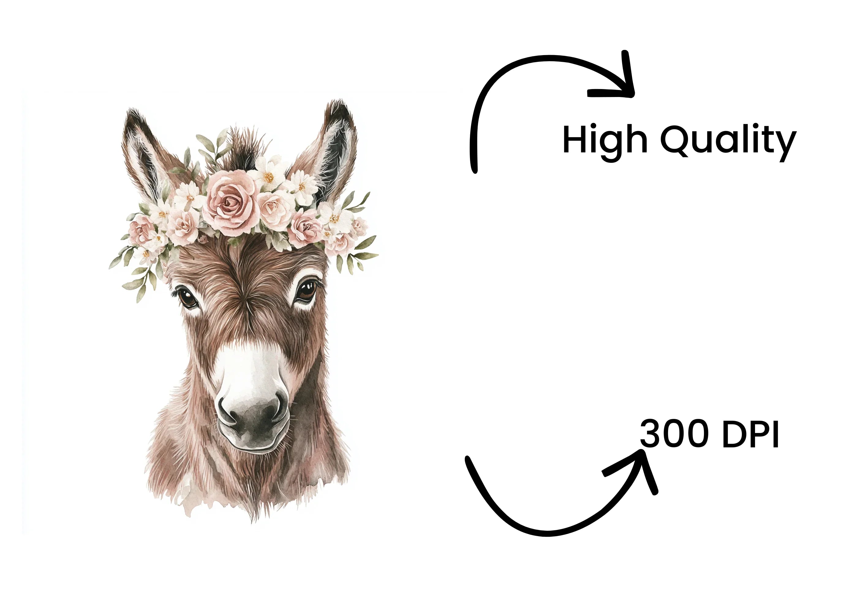 Cute Donkey Flower Crown Clipart Bundle