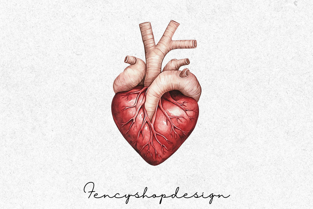 Realistic Anatomical Human Hearts Clipart Bundle