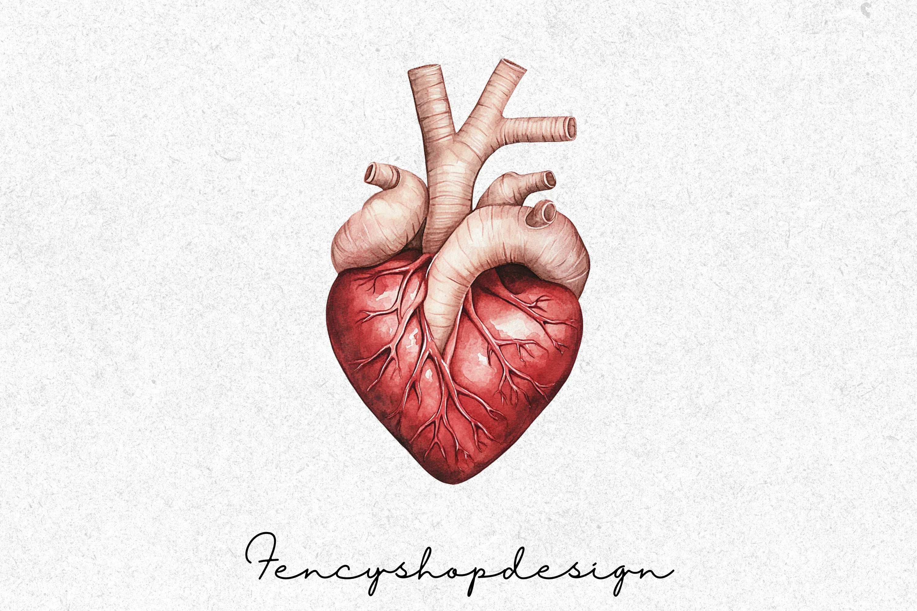 Realistic Anatomical Human Hearts Clipart Bundle