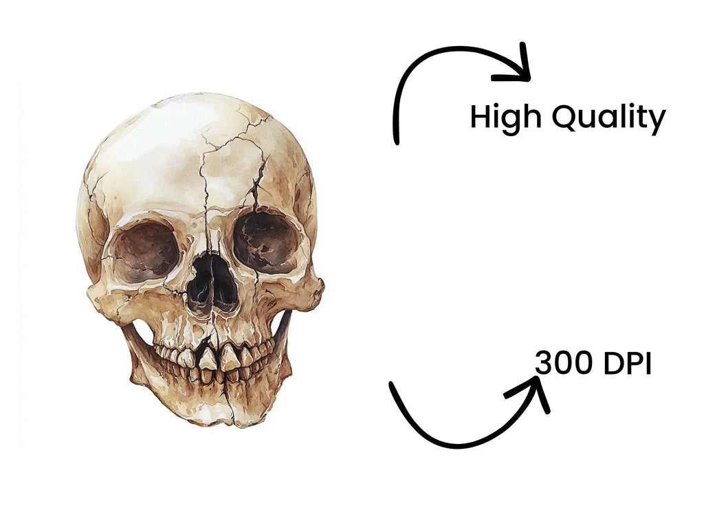 Human Skull Clipart Bundle