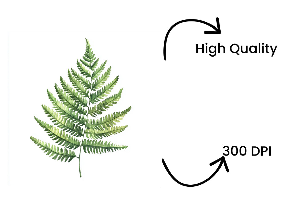 Fern Leaves Clipart Bundle