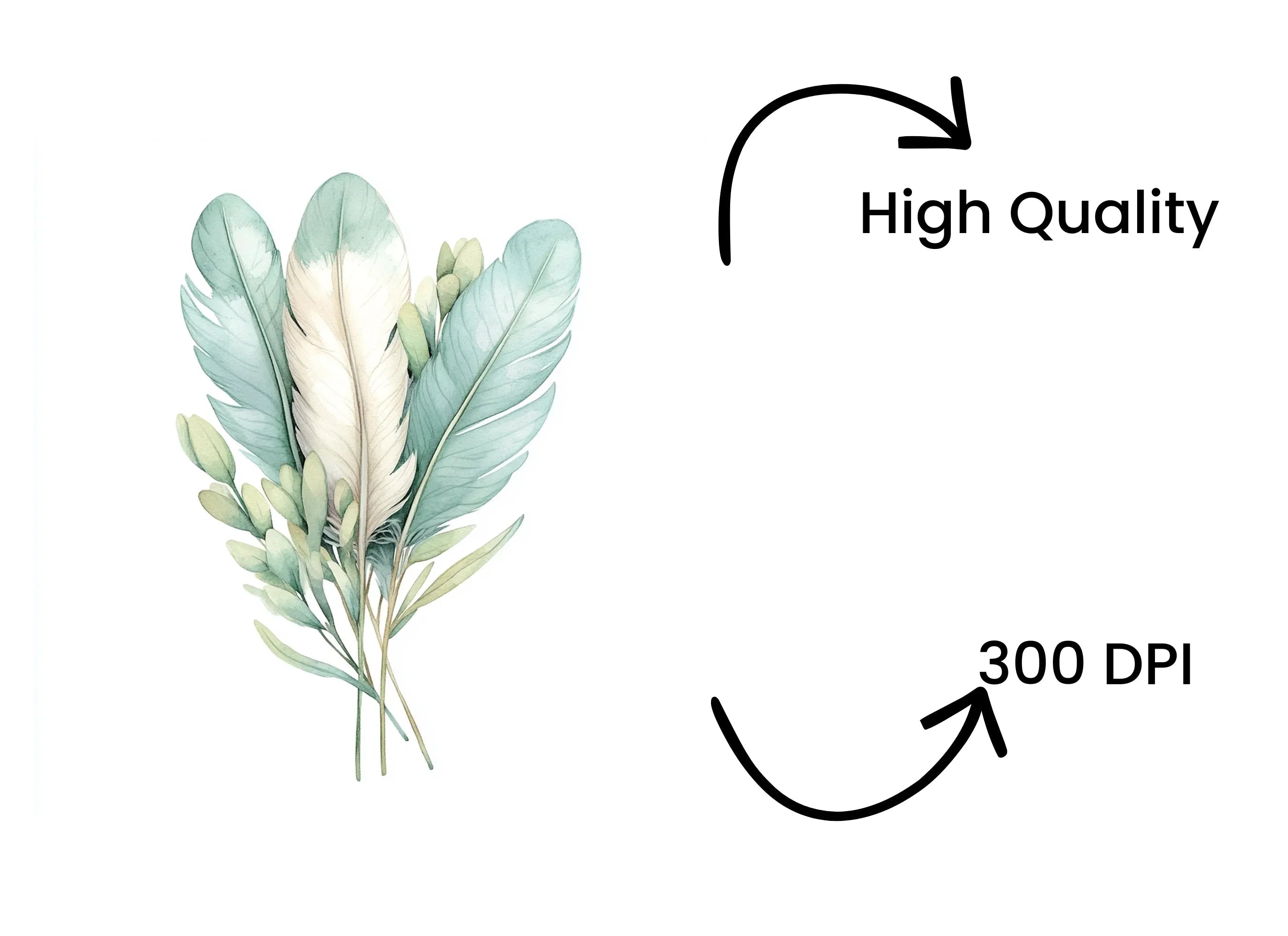 Feathers Greenery Clipart Bundle