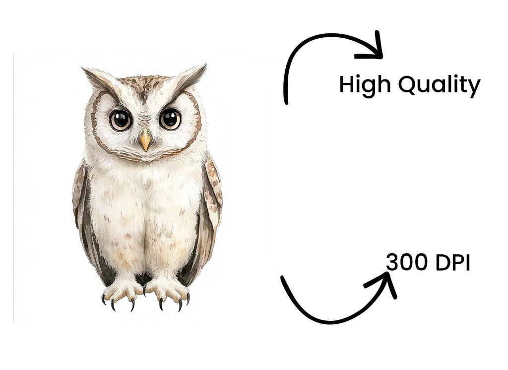 Cute Owl Illustrations Clipart Bundle