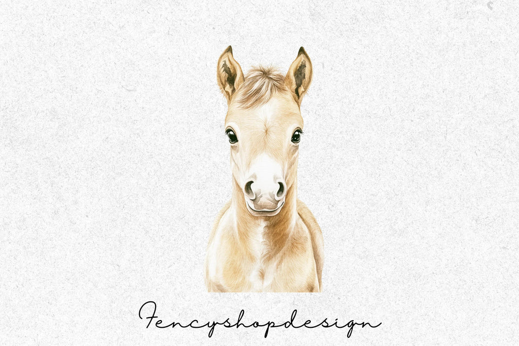 Cute Baby Horse Foal Clipart Bundle
