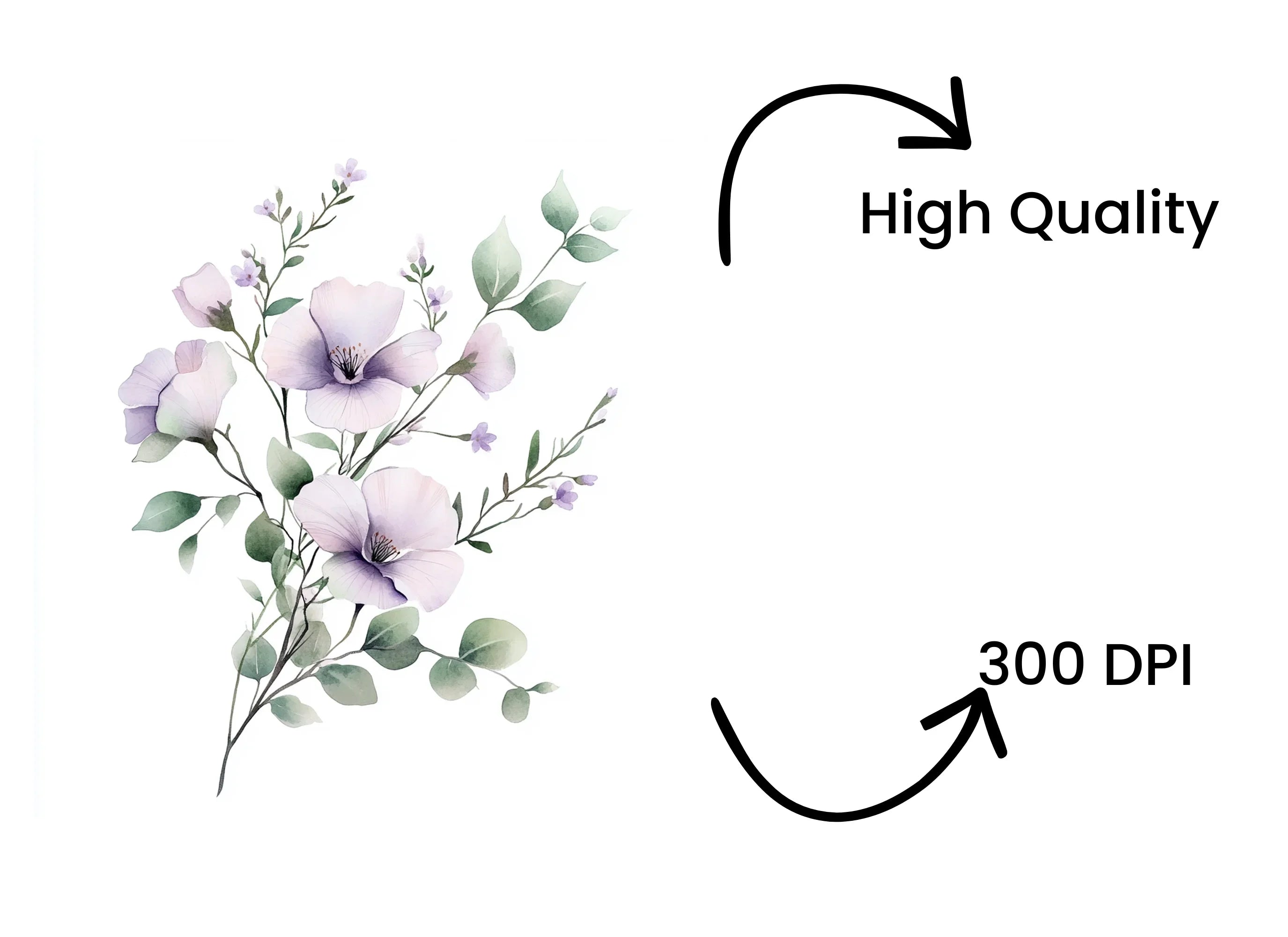 Delicate Purple Floral Clipart Bundle