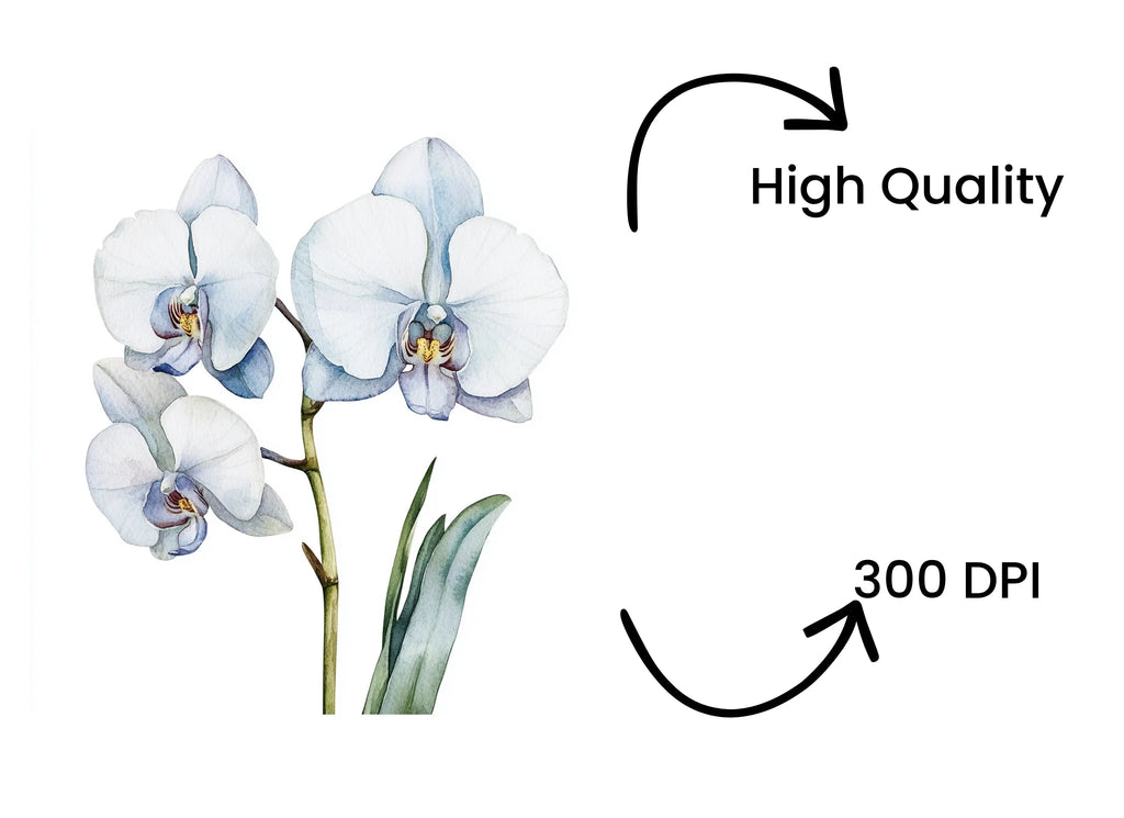 Elegant White Orchid Clipart Bundle